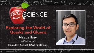 Exploring the World of Quarks and Gluons