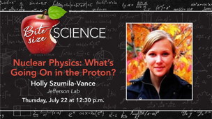 What's Going On in the Proton?