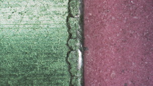 March Microscope Madness! (Week 1 - 2015)