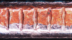 March Microscope Madness! (Week 3 - 2015)
