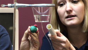Polar Molecules