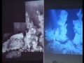 Exploring Submarine Volcanoes - A New Frontier