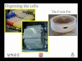 DNA: The Strand That Connects Us All