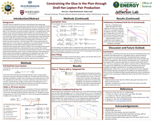Constraining the Glue in the Pion 