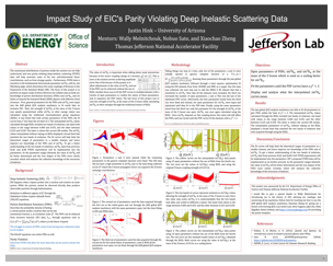 EIC's Parity Violating Deep Inelastic Scattering