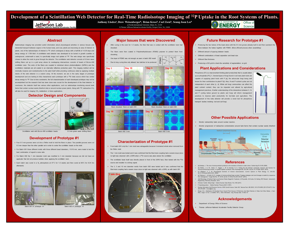 Development of a Scintillation Web Detector for Real-Time<br>Radioisotope Imaging of <sup>32</sup>P Uptake in the Root Systems of Plants