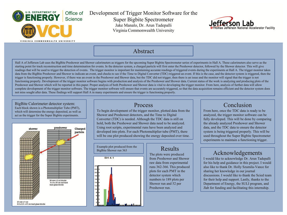 Development of Trigger Monitor Software for the Super Bigbite Spectrometer